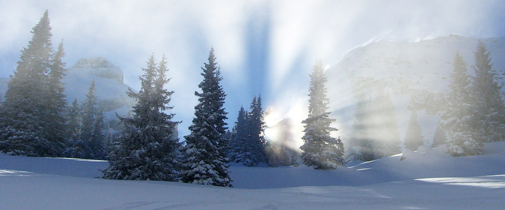 Hansjörg Lindenthaler fotografiert ein Licht-Schattenspiel mit winterlichen Bäumen in Sonnenstrahlen gebettet