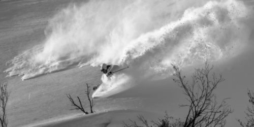 Freerider bei Abfahrt in Winterlandschaft