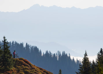 Thumbnail http://Mountainbiker%20in%20den%20Bergen%20mit%20traum%20Aussicht%20und%20rot%20herbstlichen%20Heidelbeerstauden