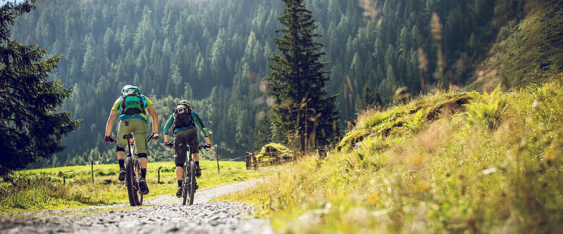 Zwei Mountainbiker fahren über Schotterstrasse in Almengebiet mit Almwiese und grünem Nadelwald im Hintergrund