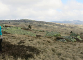 natur-cevennes-freiluftleben Einsame Landschaften in der Natur