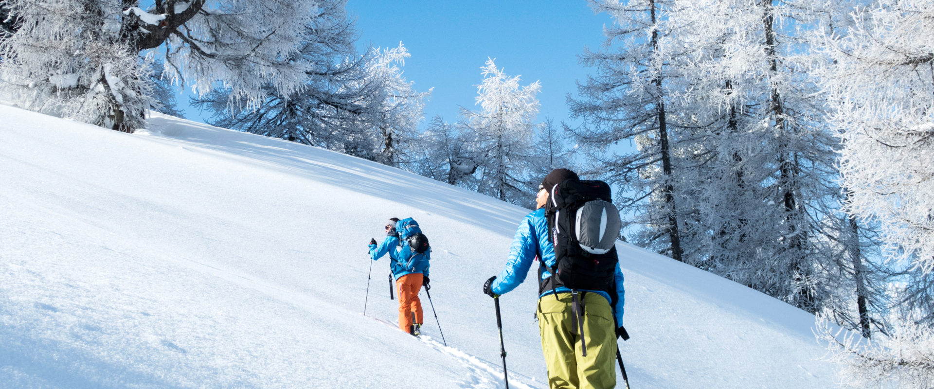 Skitourengeher zieht seine Spur in den frisch geschneiten Pulverschnee im reif bedeckten lichten Hochwald