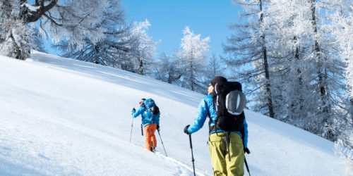 Skitourengeher zieht seine Spur in den frisch geschneiten Pulverschnee im reif bedeckten lichten Hochwald