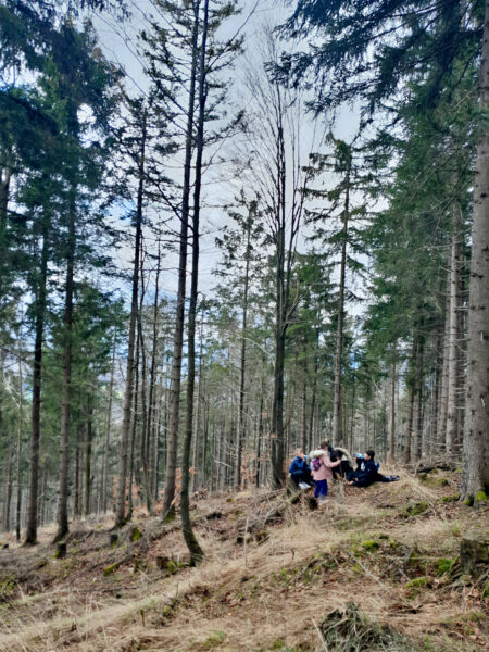 Kinder im Wald bei erlebnispädagogischen Programm