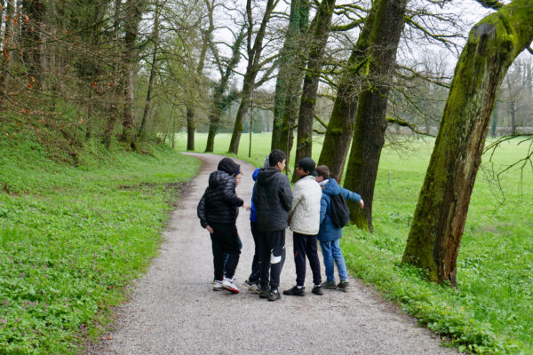 Jugendliche im Wald bei Sozialpädagogik Programm